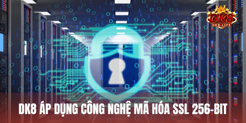 DK8 áp dụng công nghệ mã hóa SSL 256-bit nhằm bảo mật dữ liệu người chơi