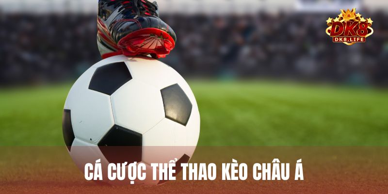 Cá cược thể thao kèo Châu Á là gì? Cách đọc kèo chuẩn