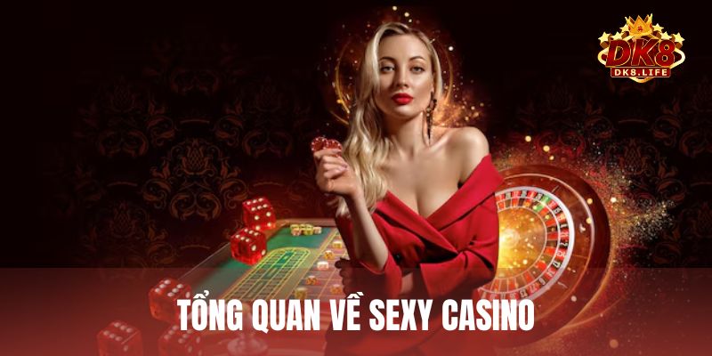 Tổng quan về Sexy Casino – Nhà cung cấp game live casino uy tín nhất